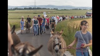 Szlakiem "Pani w słońcu"