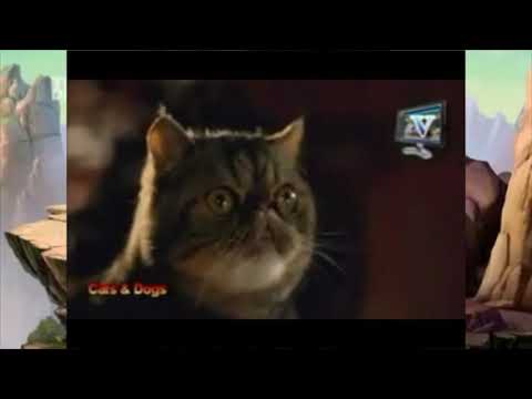 Toon Age Part 16 - The Cats' Plan