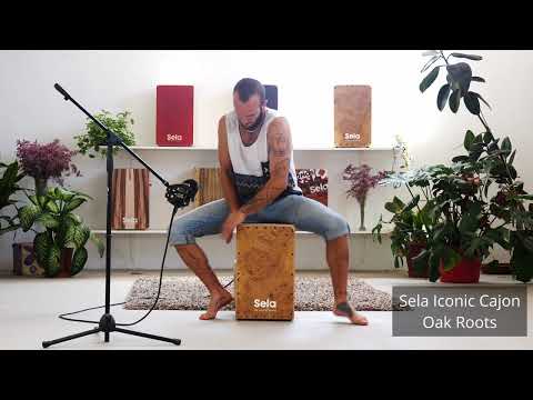 Sela Iconic Sound Demos: Limba, Oak Roots, Ziricote