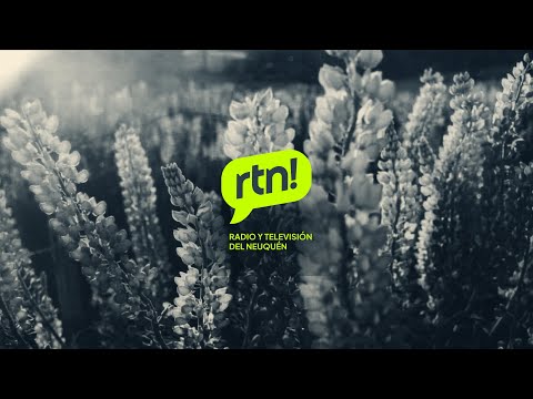 #RtnVivo Transmisión especial desde Mariano Moreno - Aniversario de Radio Pehuén FM 99.9