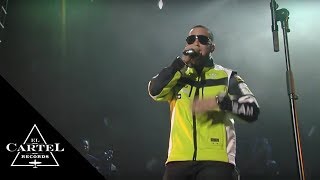 Daddy Yankee - Que Tengo Que Hacer ft Omega [Live]