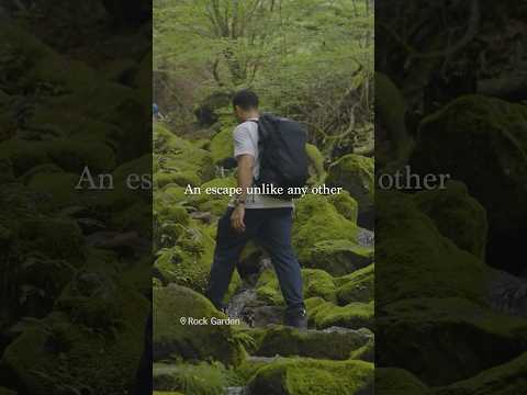 【DISCOVERING TOKYO】A Spiritual Escape in Tokyo