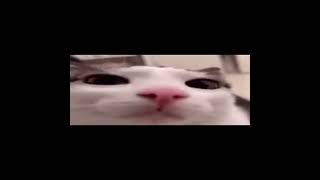 Device - MSI (without the beginning)