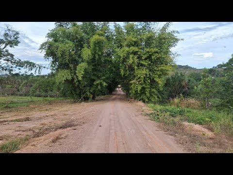 Indo de jauru p são gabriel do oeste estrada de chão 110 KM 