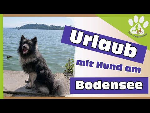 Urlaub mit Hund am Bodensee