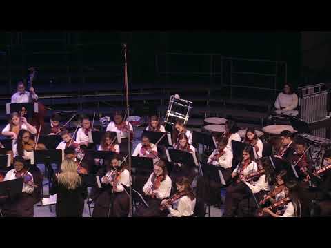 UDHS 2019 Winter Concert - Orchestra - Carol of the Bells