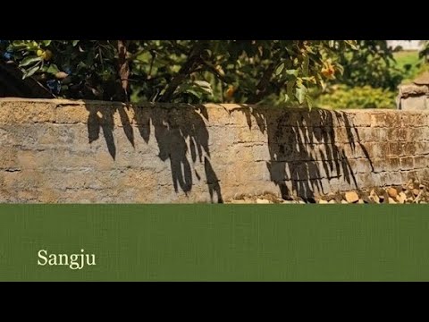 상주에서 마주한 색 &quot;초록&quot;