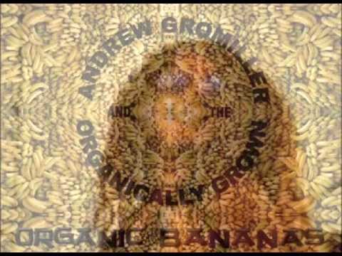 "The Soul That You Save May Be Your Own" Jen Durkin with Andrew Gromiller and the Organically Grown