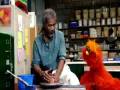 Sesame Street Murray Has A Little Lamb Art School