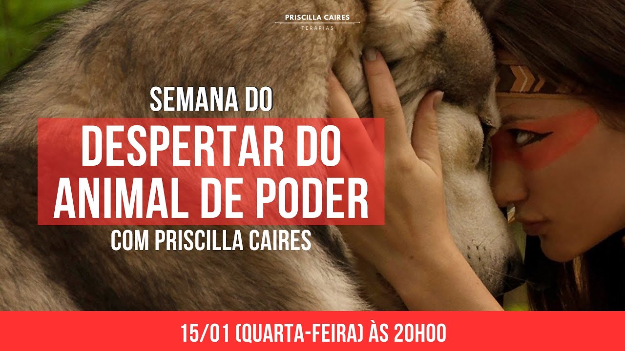 [AULA 02] Semana do Animal de Poder - Como utilizar a força e sabedoria dos seus Animais de Poder.