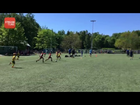 Käpäturnaus 26.5 - 27.5.2018