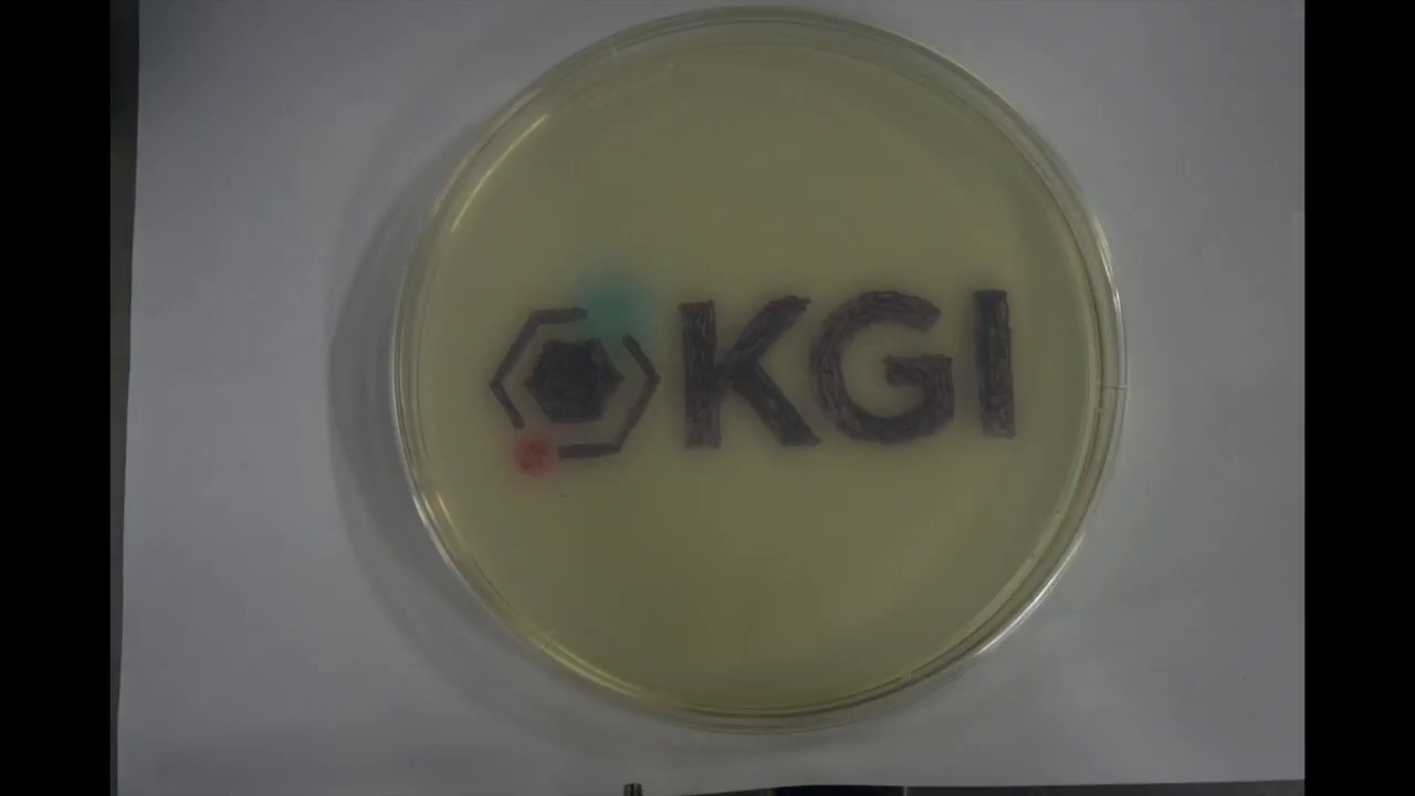 KGI Logo bacteria art