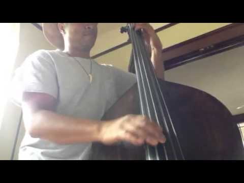 Roland Guerin's New Upright Bass