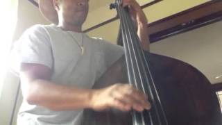 Roland Guerin's New Upright Bass