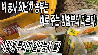 온 동네에 소문난 벼농사 20년차 농부의 모내기 전 복합비료 밑거름 주는 방법! 이렇게 주시면 일년 농사 끝…