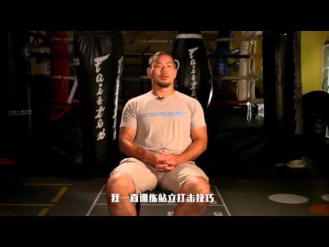 Battle Royale: Ascension Fighter Profile - Hideto Tatsumi