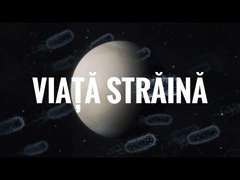 semne de îndrăgostire erecție