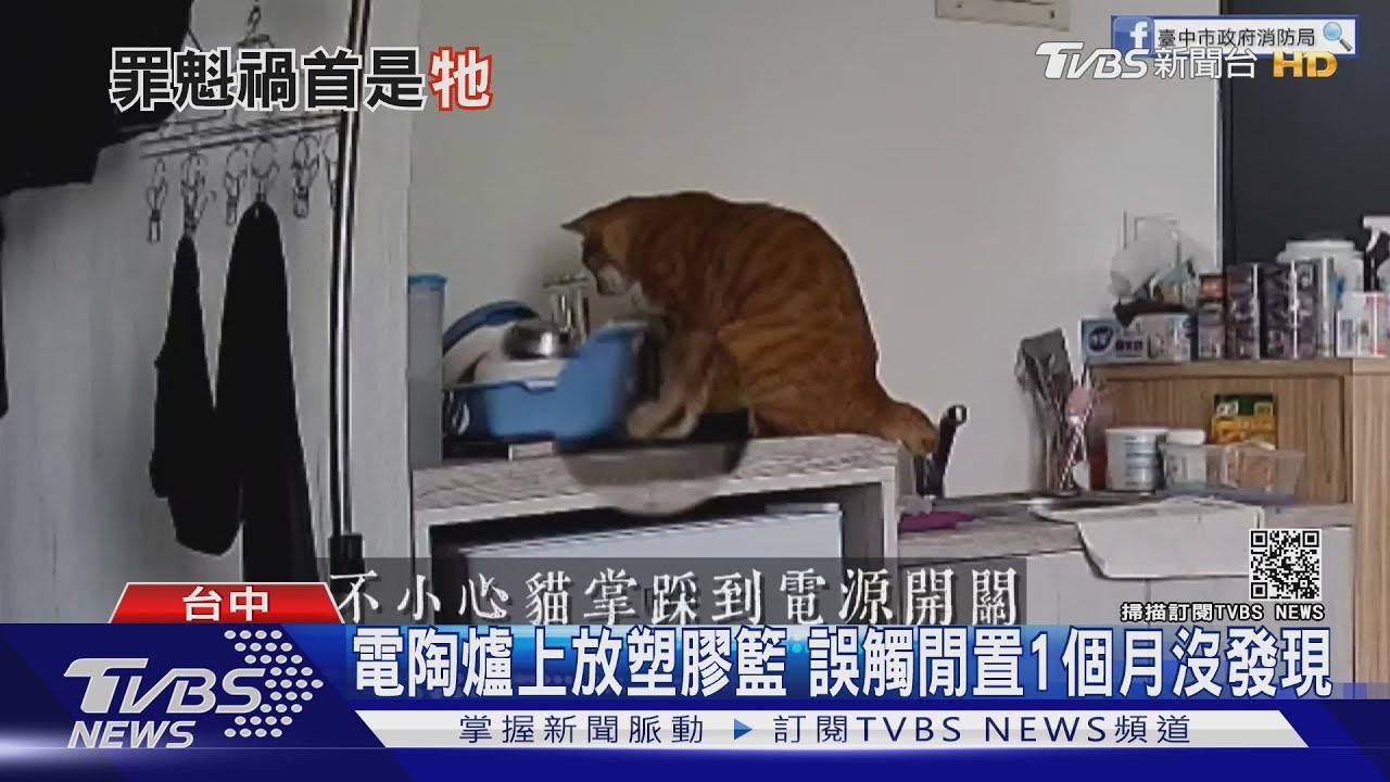 「喵」頭不對！　電陶爐插頭沒拔貓誤觸險燒屋