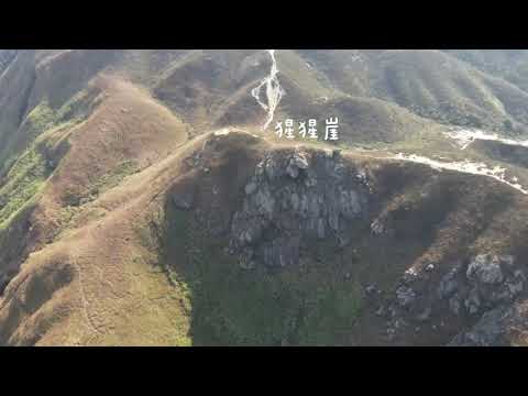 獅子穴