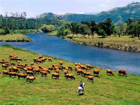 NUMA LA KERMESSE - One Step du Nord 2