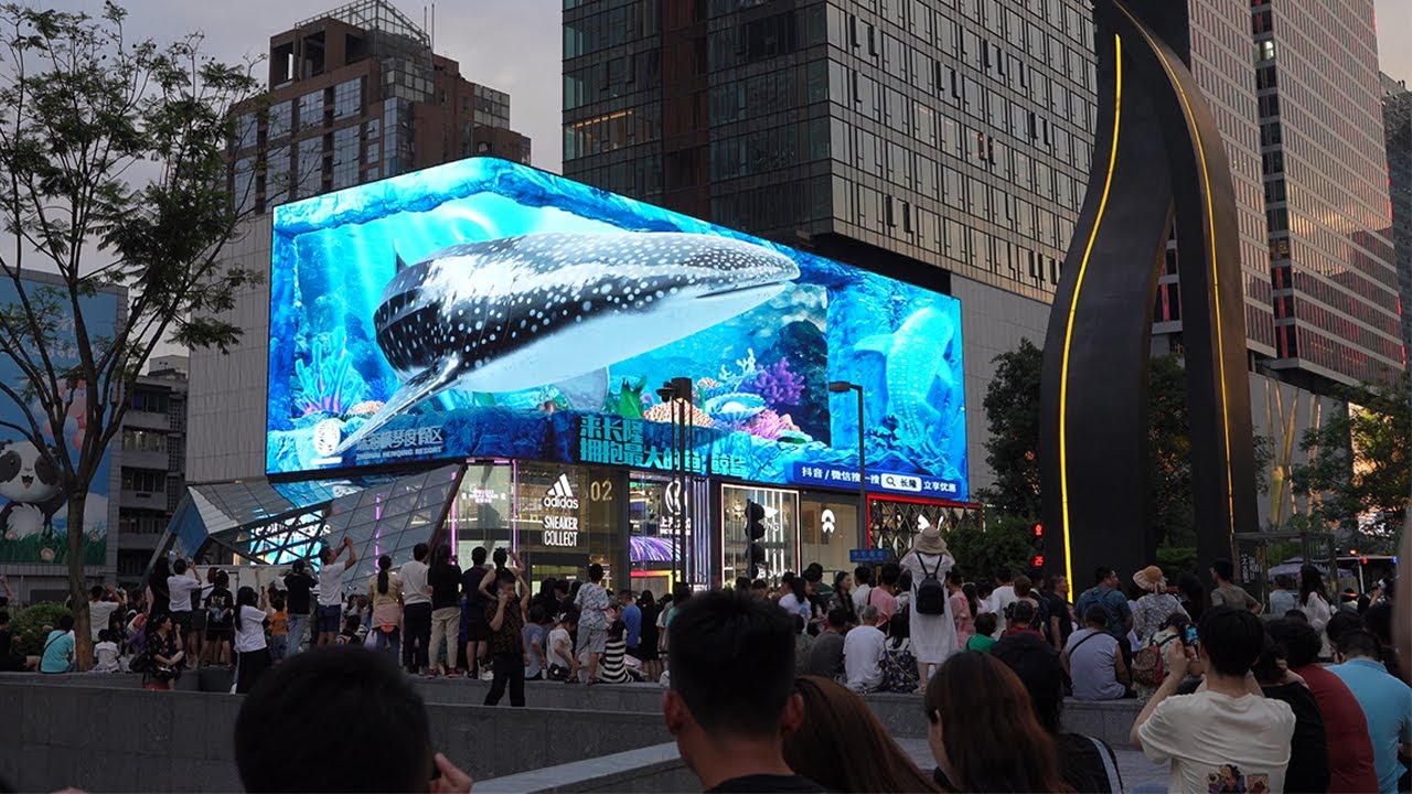 Particle System Exploration