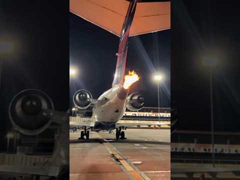 Jak Aaerolinky Šetří Miliony?! 🤔