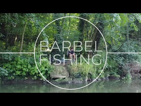 Barbel Fishing in Yorkshire River - Surprise PB!