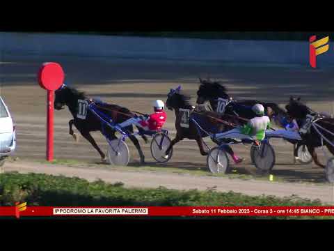 III corsa del 11 febbraio 2023 - 4 Anni - Metri 2000