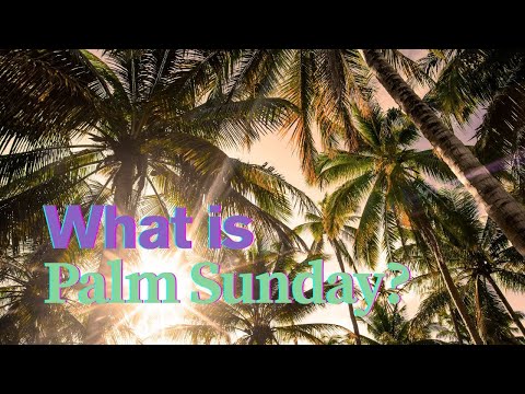 E683: What is Palm Sunday?