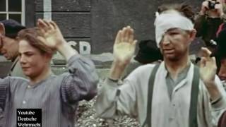 실제필름 -1945년5월,패망독일의 모습-