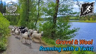 Virtual Run - Gravel & Wool: Scenic Forest Running with a Twist