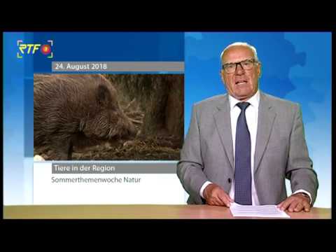 RTF.1-Sommerthemenwoche Natur:  Tiere in der Region