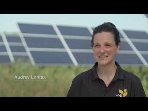 Dive into the Prairie: AgriSolar Partnerships Bloom in Minnesota