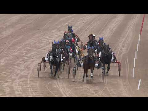 2019.11.16. 02. futam - GERGELY IMRE EMLÉKVERSENY HENDIKEP