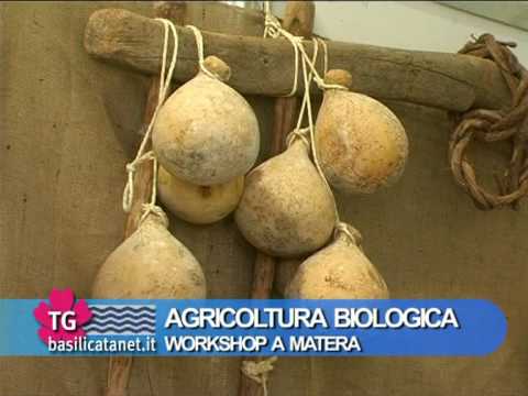 Tempo la virilità Acquistare pillole per la potenza più forte a Mosca