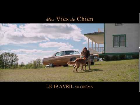 MES VIES DE CHIENS - Spot court - VF