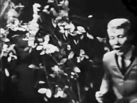 NEW * Surfin' Bird - The Trashmen {DES Stereo} 1963