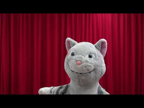 Der Musikater und das Kuschelkissen