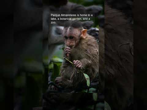 parques perto de Havana, Cuba