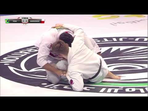 Felipe Pena vs Adam Wardzinski Final 94kg World Pro 2017