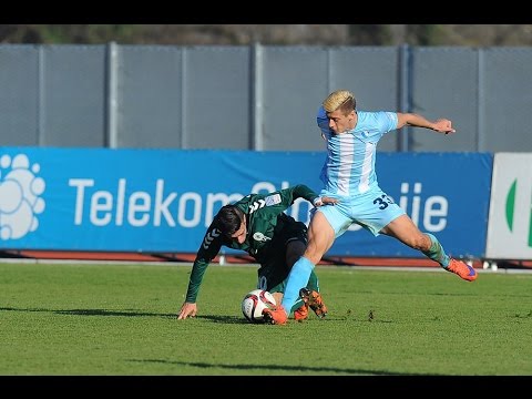 21. krog: Krka - Gorica 1:0, Prva liga Telekom Slovenije 2015/16