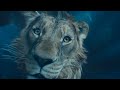 Mufasa The Lion King Mufasa Defeats Kiros I 4K Ultra HD