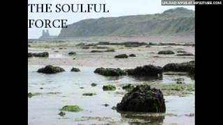 THE SOULFUL FORCE- SO MANY PATHS