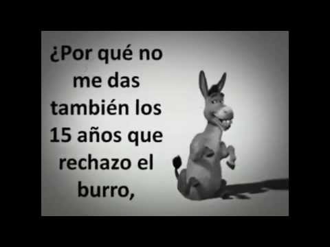La paradoja de la vida