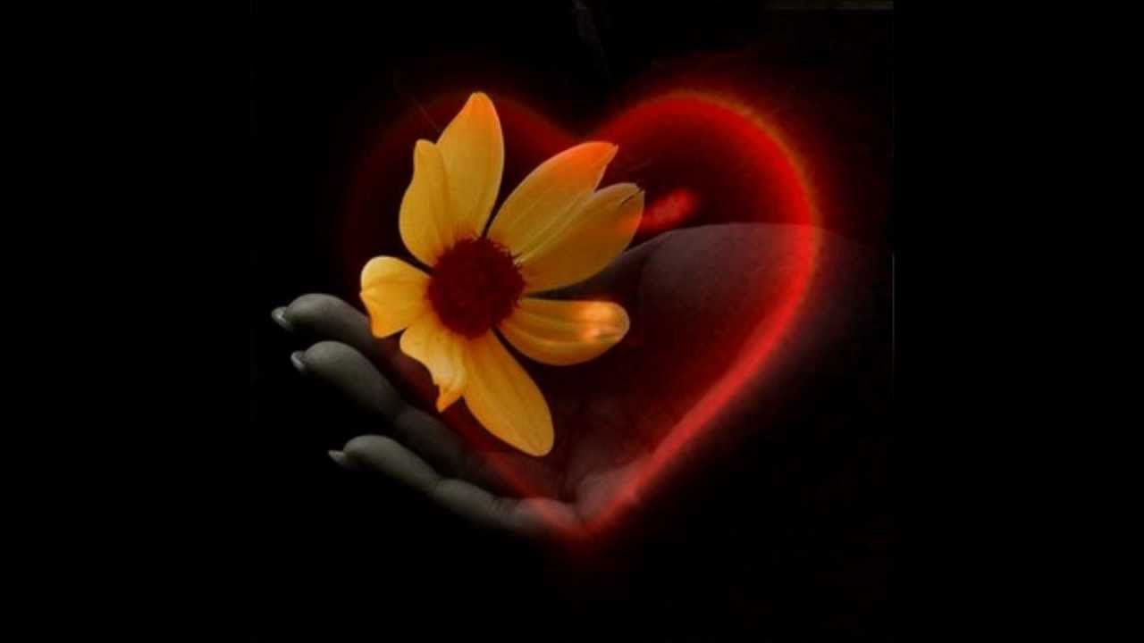 Il tuo cuore lo porto con me (Edward Estlin Cummings) - Voce: Ilaria Lila Cuoci