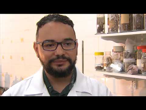 BEM ESTAR  - 18/10/2018  -Cuidados na hora de tomar chá