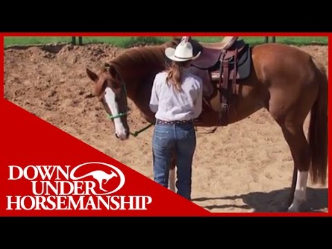 Clinton Anderson: More Horse Than Handle, Part 2 - Downunder Horsemanship