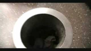 The Beautiful Addiction