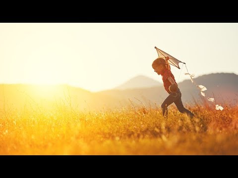 Felicidade - Silvestre Kuhlmann