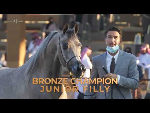 DUBAI STUD ACHIEVEMENTS - 2022 KIAHF